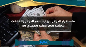 «استقرار الدولار اليوم» سعر الدولار والعملات الأجنبية أمام الجنيه المصري الآن